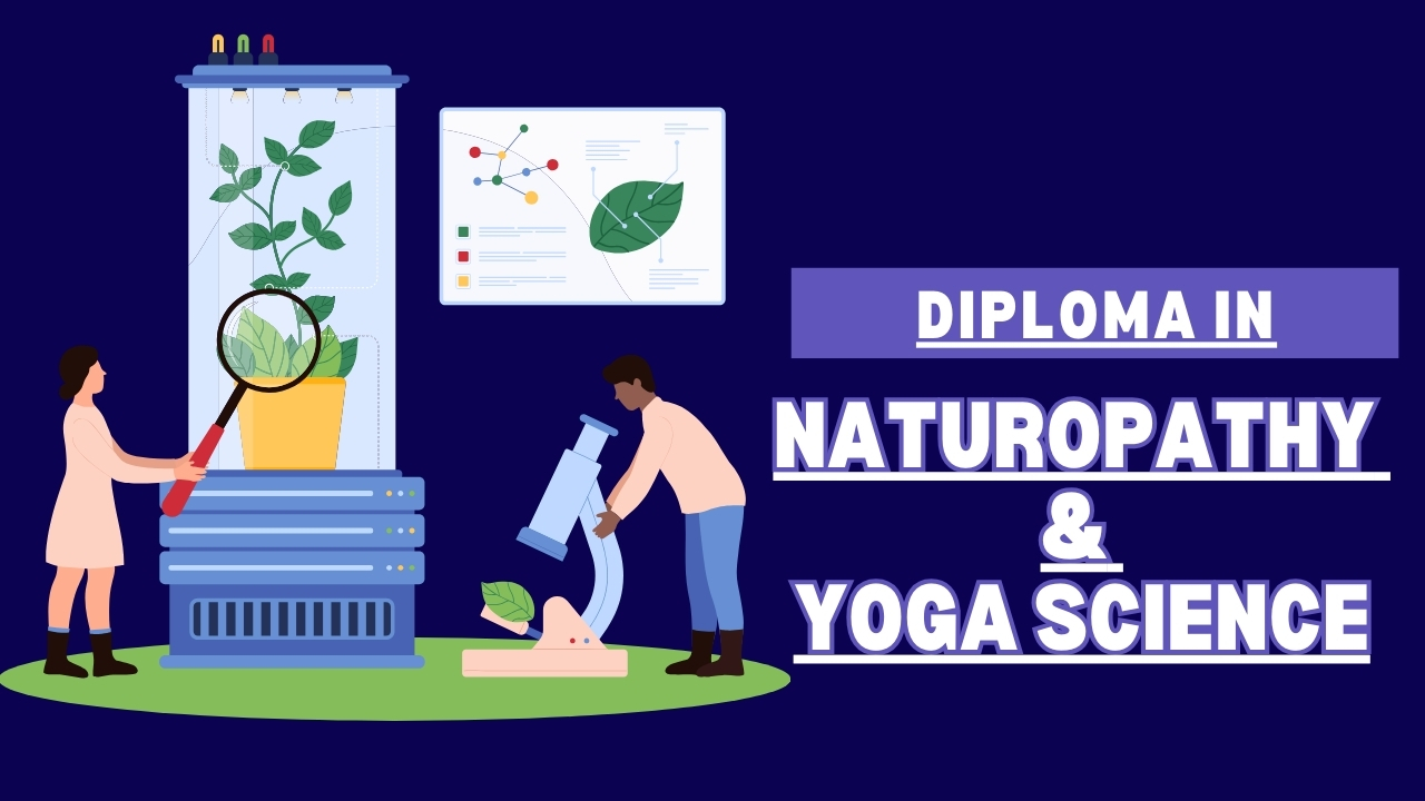 Course - Diploma in Computer Application - 6 Month